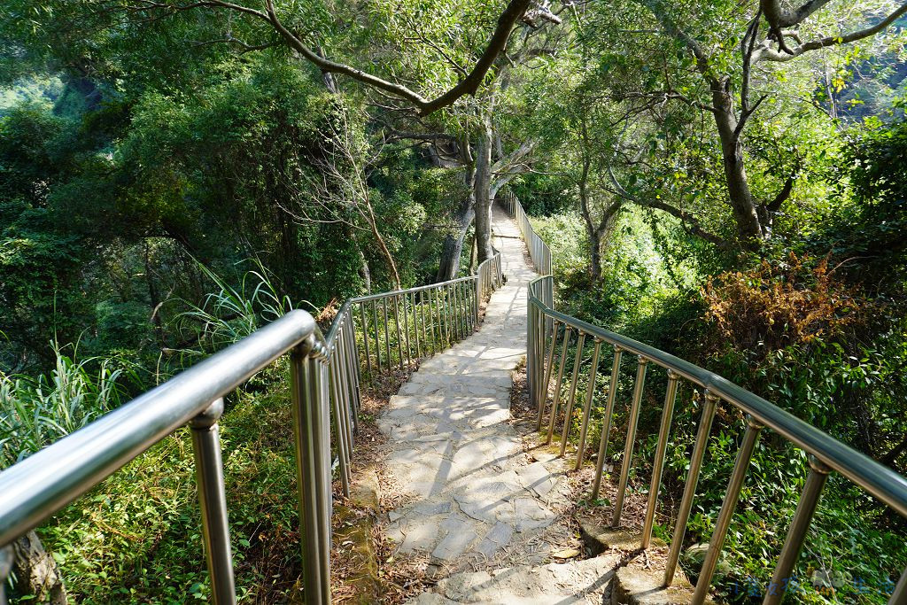 [彰化田中]彰化親子健行步道~田中森林公園步道，走在稜線上賞山景，全程2.4KM環狀O型步道，在地人的健行運動好去處!