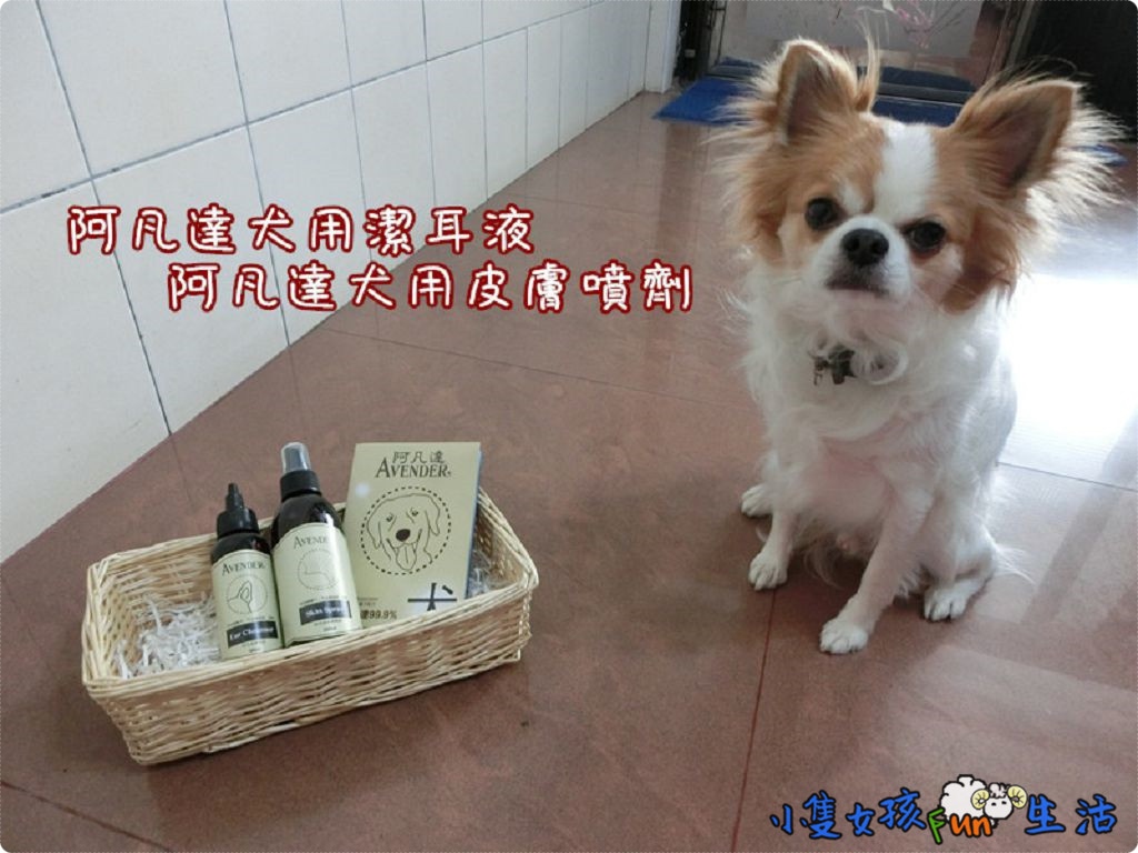 [邀稿x試用]AVENDER阿凡達犬用潔耳液/阿凡達犬用皮膚噴劑，除臭、抗菌、清潔，幫狗狗毛皮/耳道形成保護膜，呵護狗狗每一天(內附Q&A)